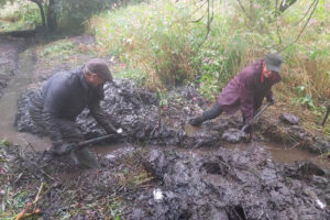 Extra channels will help to re-wet the reedbed.