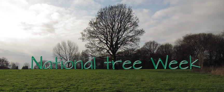 National Tree Week