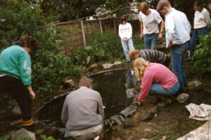 1990: Francis' Pond